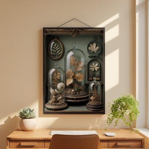 Gabinete de curiosidades / Especímenes botánicos antiguos / Decoración steampunk imagen 1