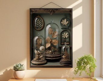 Gabinete de curiosidades / Especímenes botánicos antiguos / Decoración steampunk