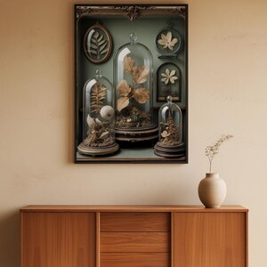 Gabinete de curiosidades / Especímenes botánicos antiguos / Decoración steampunk imagen 5