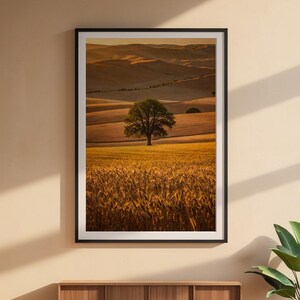 Arte paisajístico de la Toscana / Póster de colinas onduladas / Impresión de una campiña dorada imagen 6