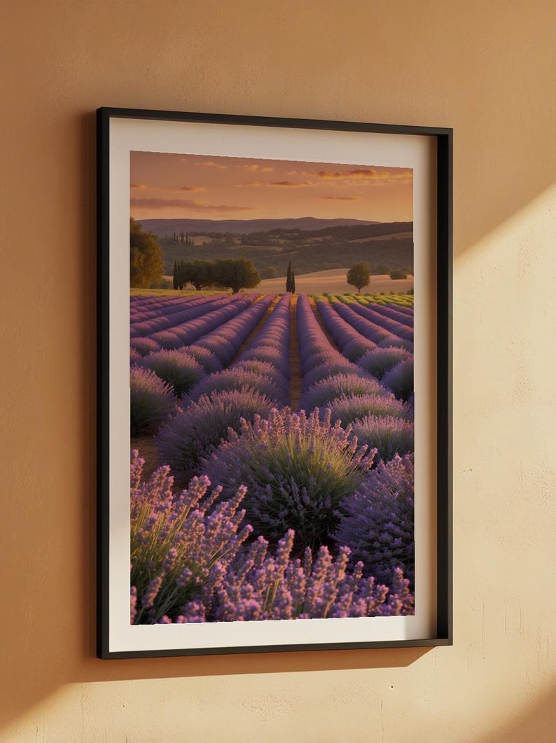 Lavender Field Sunset | Golden Hour Landscape | Provence Wall Art image 7