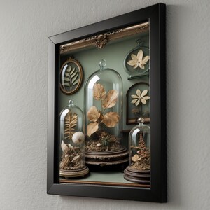 Gabinete de curiosidades / Especímenes botánicos antiguos / Decoración steampunk imagen 8