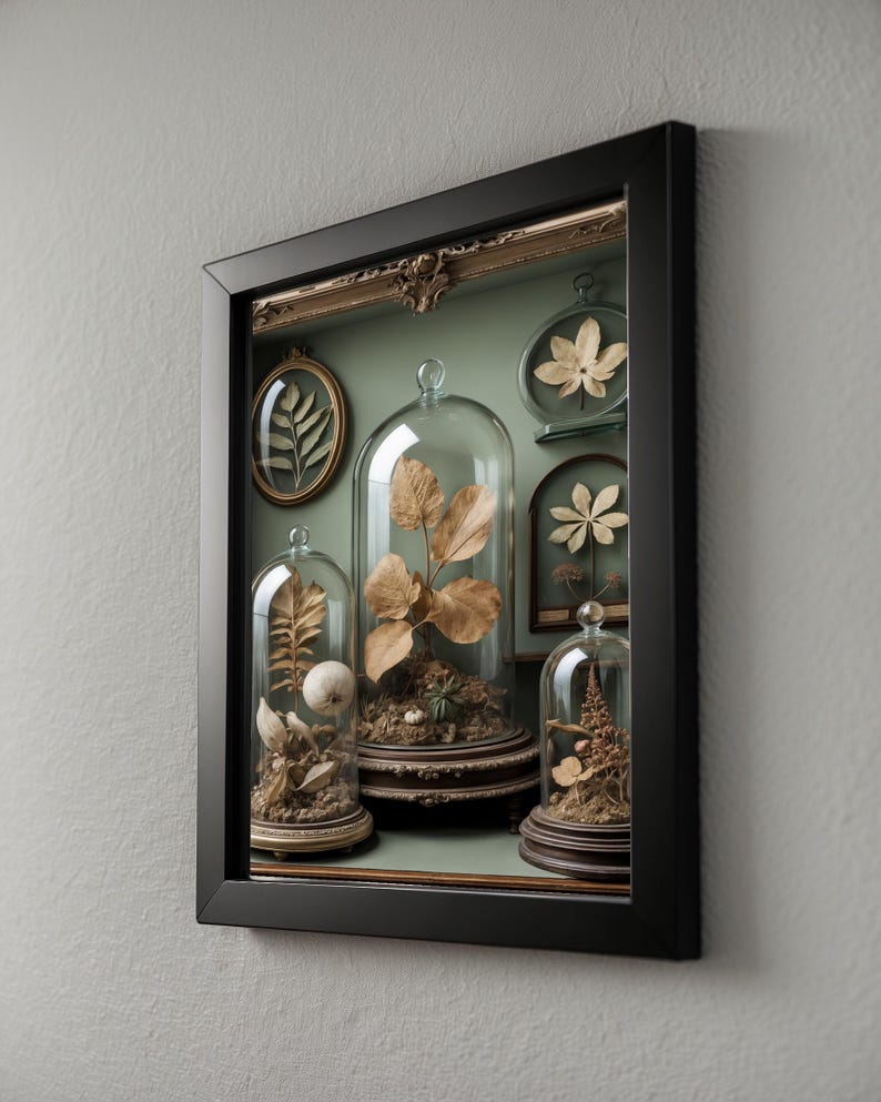 Gabinete de curiosidades / Especímenes botánicos antiguos / Decoración steampunk imagen 8