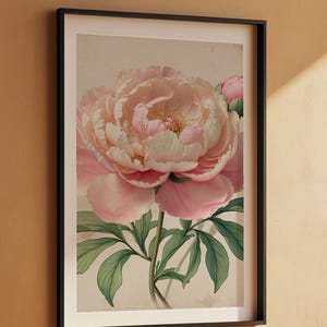 Romantic Peony Bloom | Vintage Botanical | Cottagecore Garden Art Bild 7