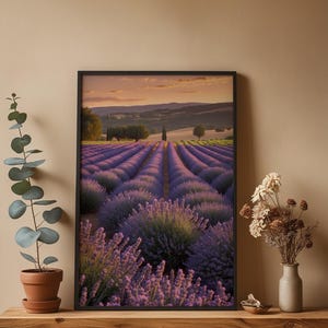 Lavender Field Sunset | Golden Hour Landscape | Provence Wall Art image 4