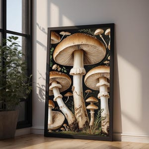 Estudio botánico de hongos / Ilustración naturalista vintage / Arte cottagecore imagen 9