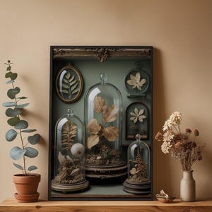 Gabinete de curiosidades / Especímenes botánicos antiguos / Decoración steampunk imagen 4