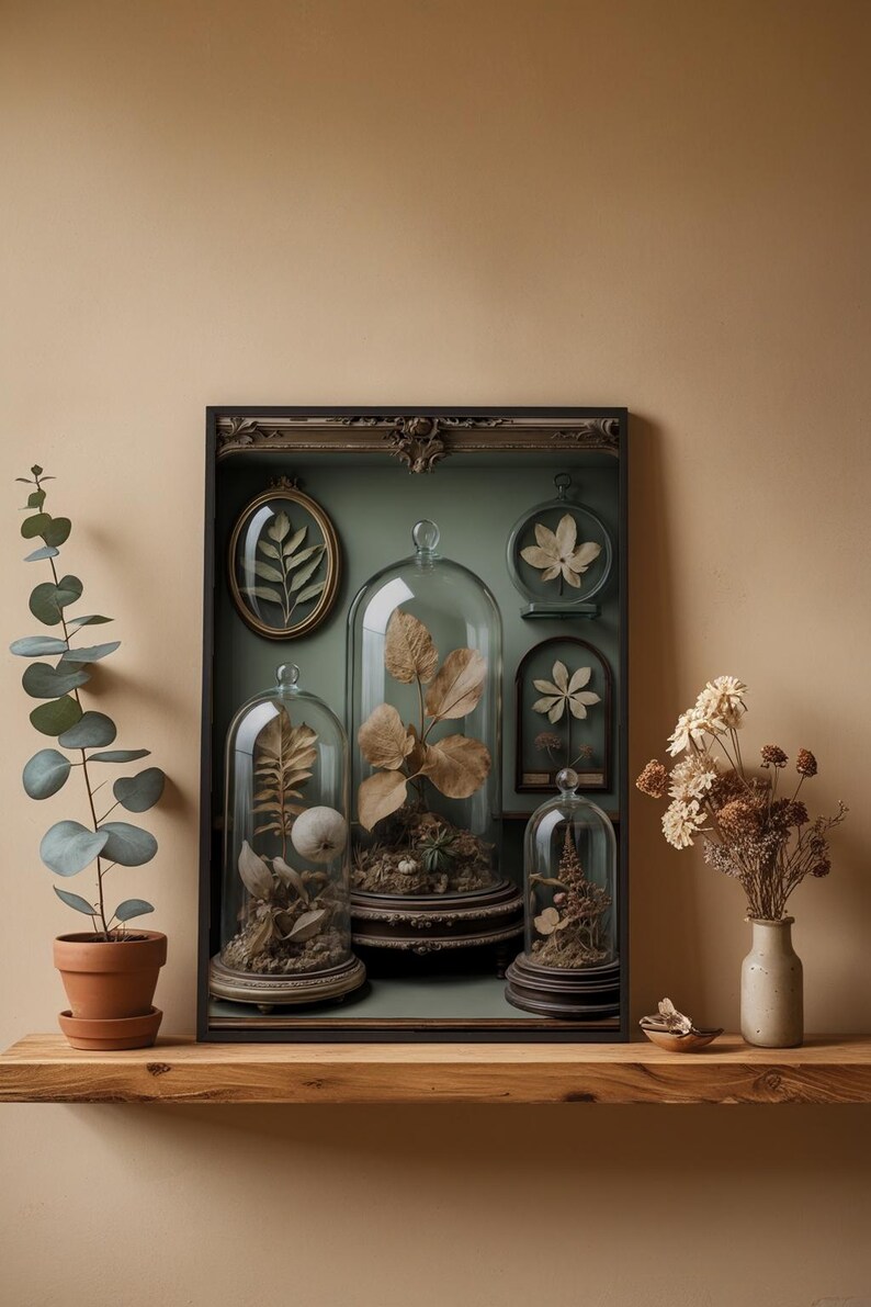 Gabinete de curiosidades / Especímenes botánicos antiguos / Decoración steampunk imagen 4