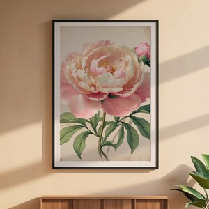 Romantic Peony Bloom | Vintage Botanical | Cottagecore Garden Art Bild 6