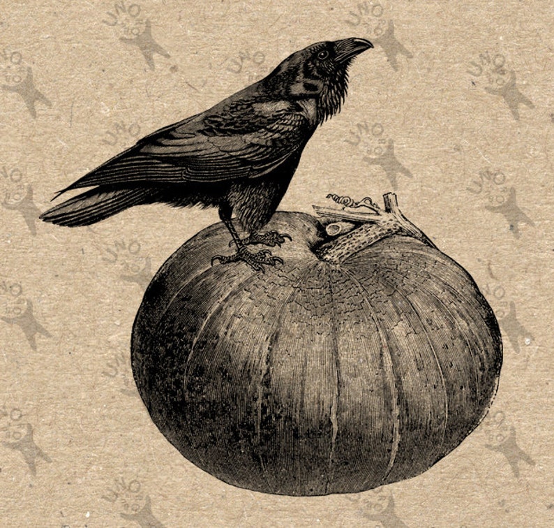 Halloween Raven Crow Pumpkin Image Instant Download Digital | Etsy