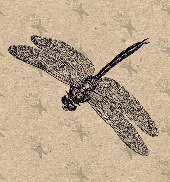 Vintage Dragonfly Printable image Instant Download printable | Etsy