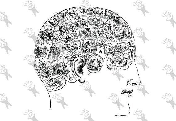 Vintage Retro Rysunek Obraz Człowieka Frenologia Mózgu Głowy Obraz Instant Download Do Druku Clipartów Czarno Biały Cyfrowy Grafika Hq 300dpi