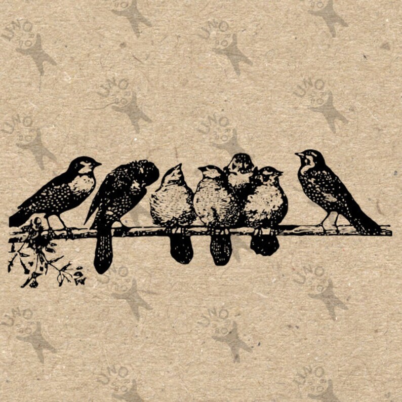 Vintage image Bird Birds Instant Download Digital printable | Etsy