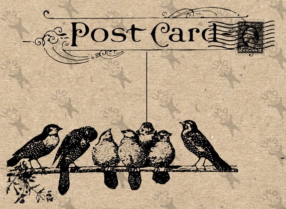 Vintage Postcard with birds Instant Download Digital printable | Etsy