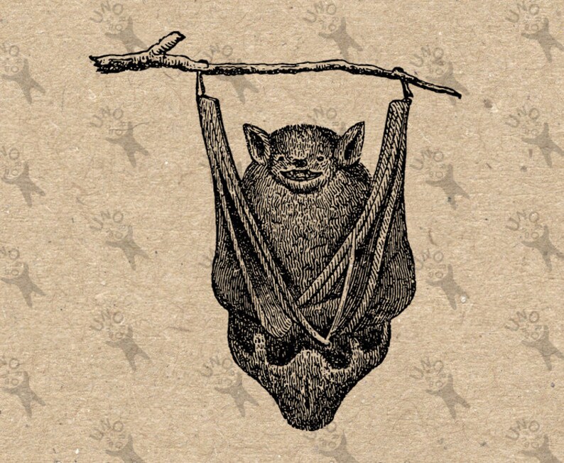 Vintage image Halloween Bat Instant Download Digital printable | Etsy