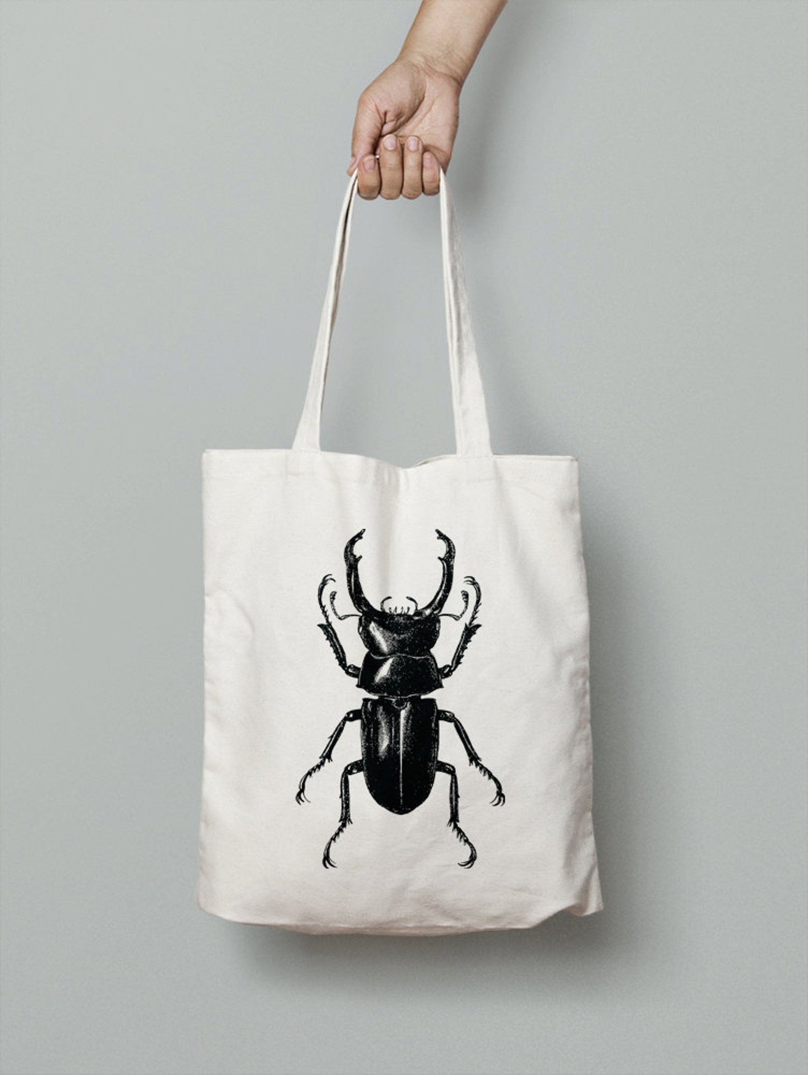 Insect Stag Beetle vintage image instant Download Digital | Etsy