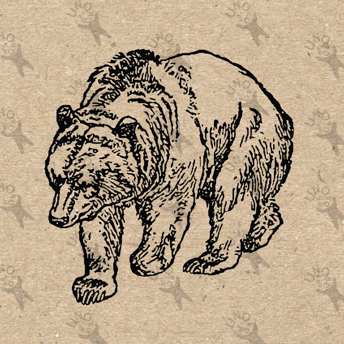 Vintage image Grizzly Bear Instant Download Digital printable Etsy