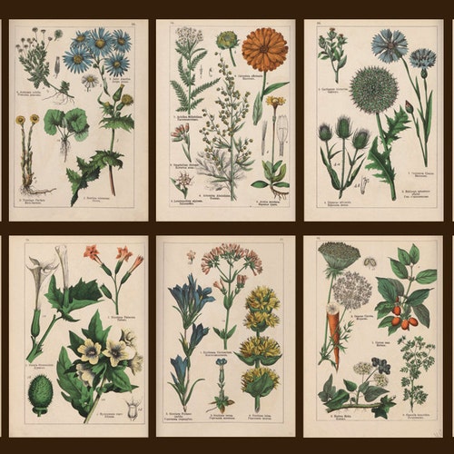 Обложки для травника рисунки