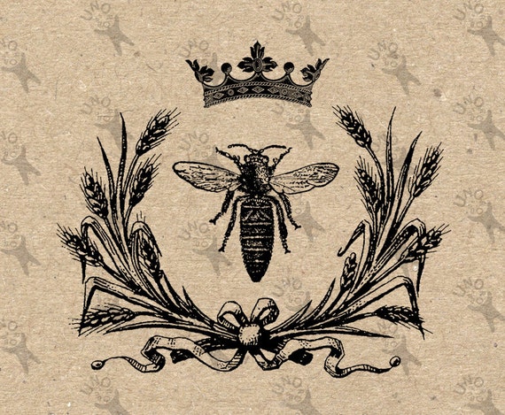 Drawing Drawing Illustration Vintage Honey Bee