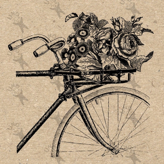 Vintage Bicycle Basket Flowers image Instant Download Etsy