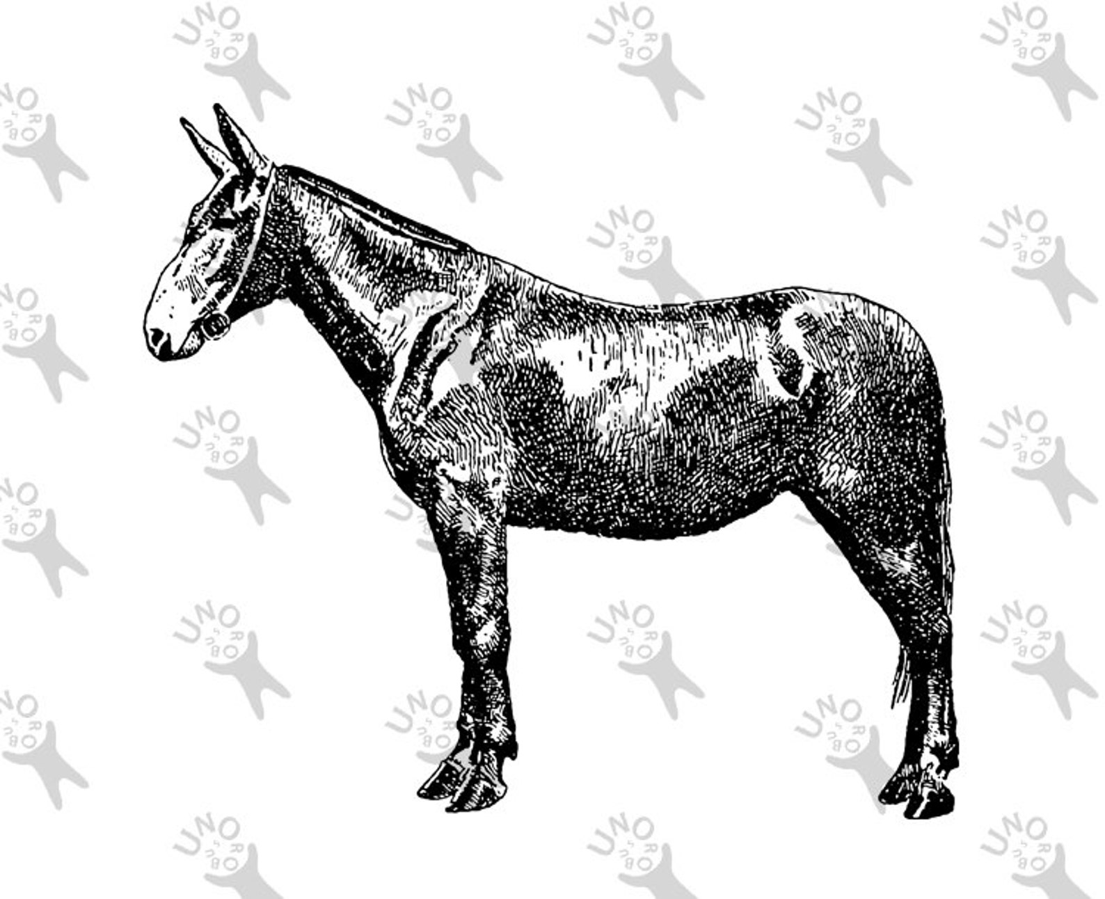 Vintage Mule Retro Drawing image Instant Download printable | Etsy