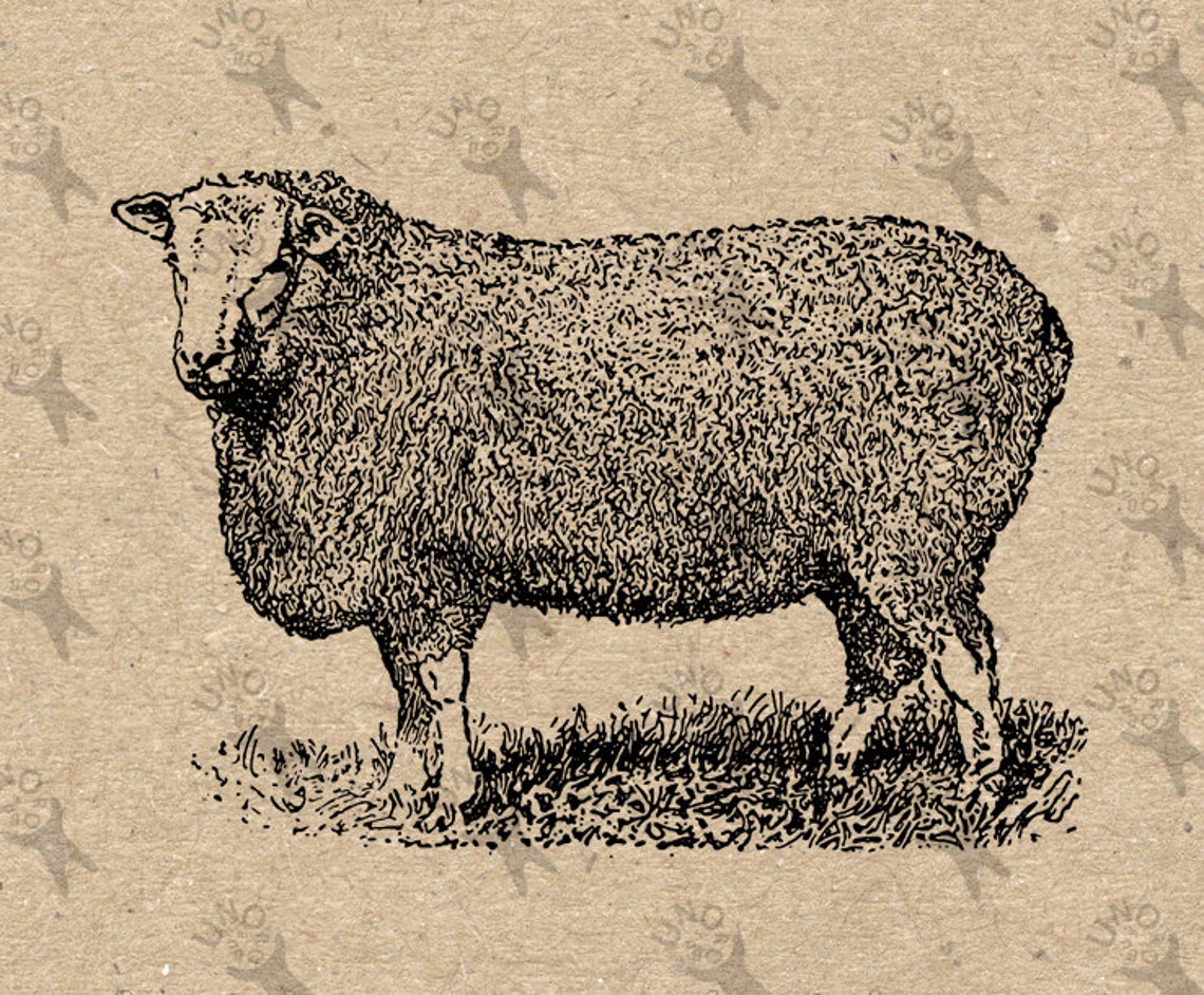 Vintage Sheep Lamb Farm Instant Download Digital Printable | Etsy