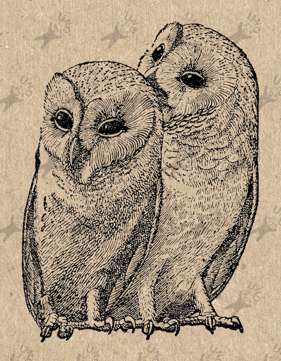 Image Owls Instant Download Digital printable vintage clipart | Etsy