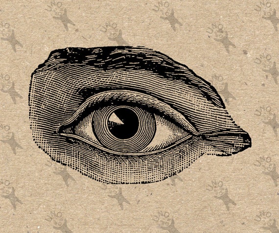 Vintage Human Eye Image Instant Download Picture Digital | Etsy