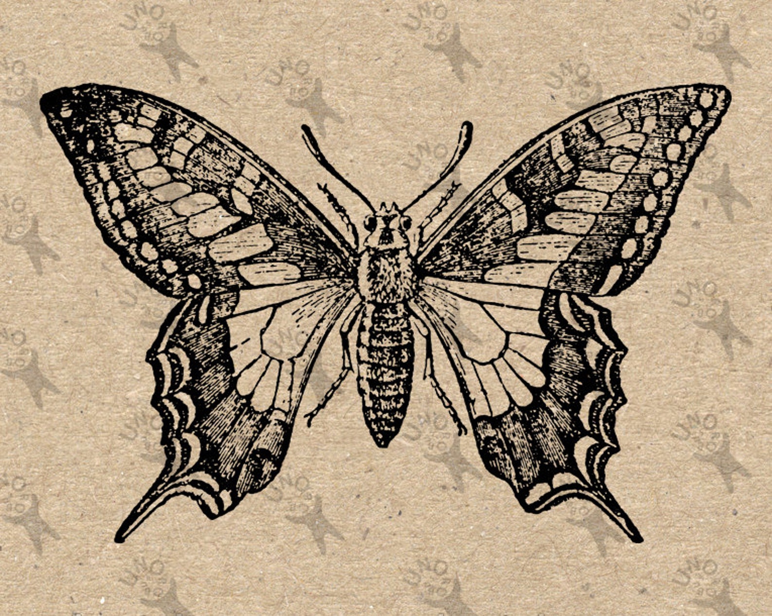 Butterfly Vintage image Instant Download Digital printable | Etsy
