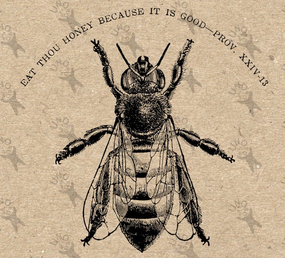 Download Vintage image Honey Bee Instant Download Digital printable ...