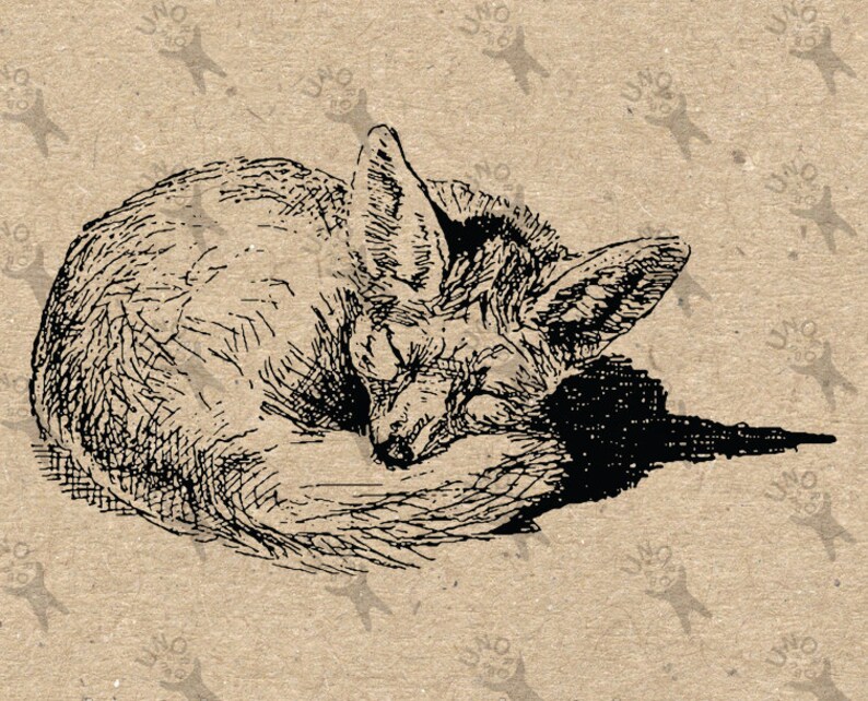 Retro drawing sleeping Fox Instant Download Digital printable | Etsy
