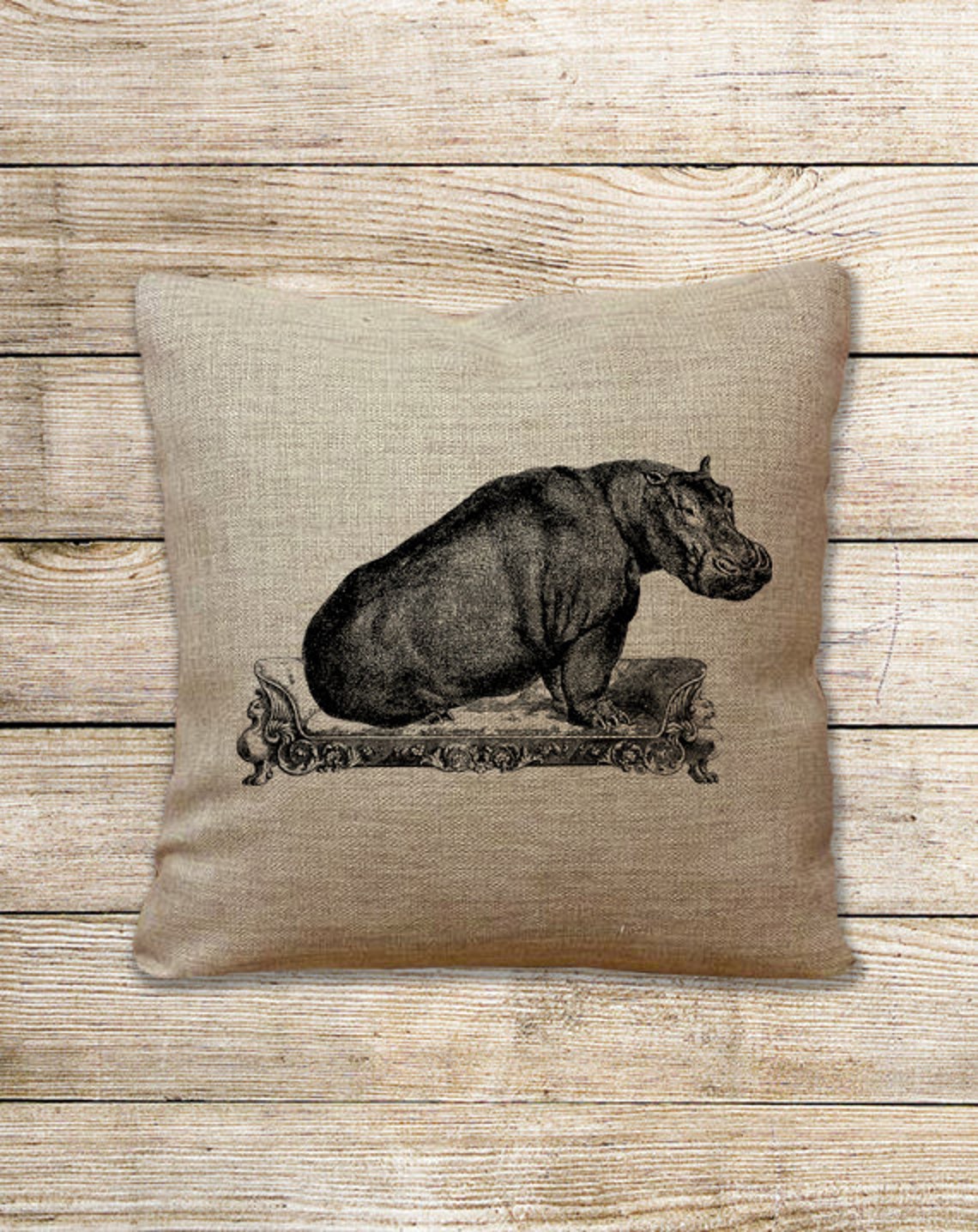 Collage illustration Hippo Hippopotamus Sofa Couch Instant Etsy
