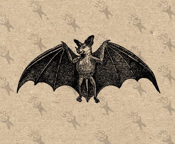 Vintage image Halloween Bat Instant Download Digital printable | Etsy