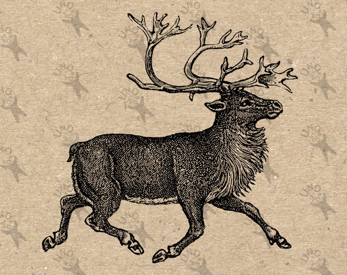 Vintage Christmas Reindeer Instant Download Digital printable Etsy