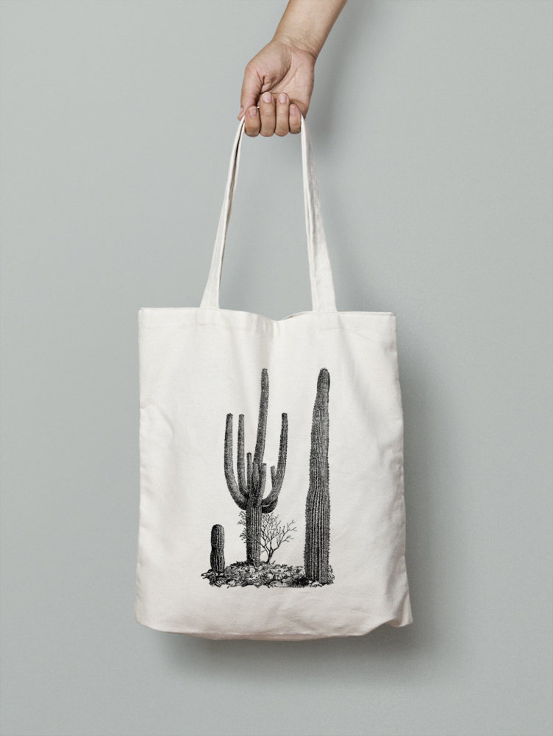 Vintage image Desert Cactus Cacti Wild West Texas Instant | Etsy