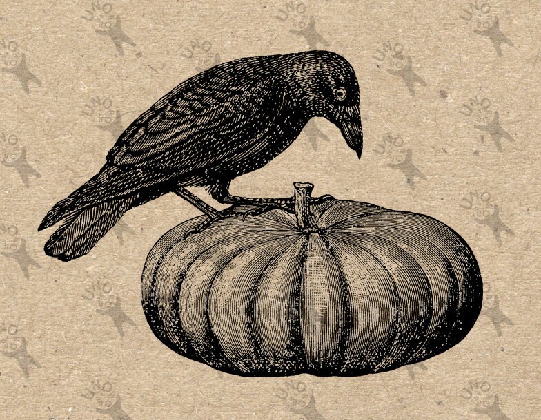 Download Halloween Raven Crow Pumpkin Image Instant Download Digital Etsy