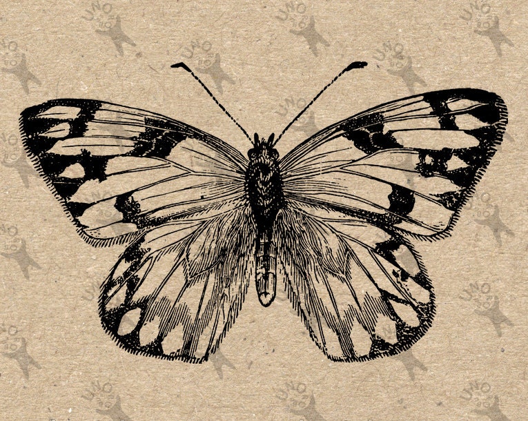 Butterfly Vintage image Instant Download Digital printable | Etsy