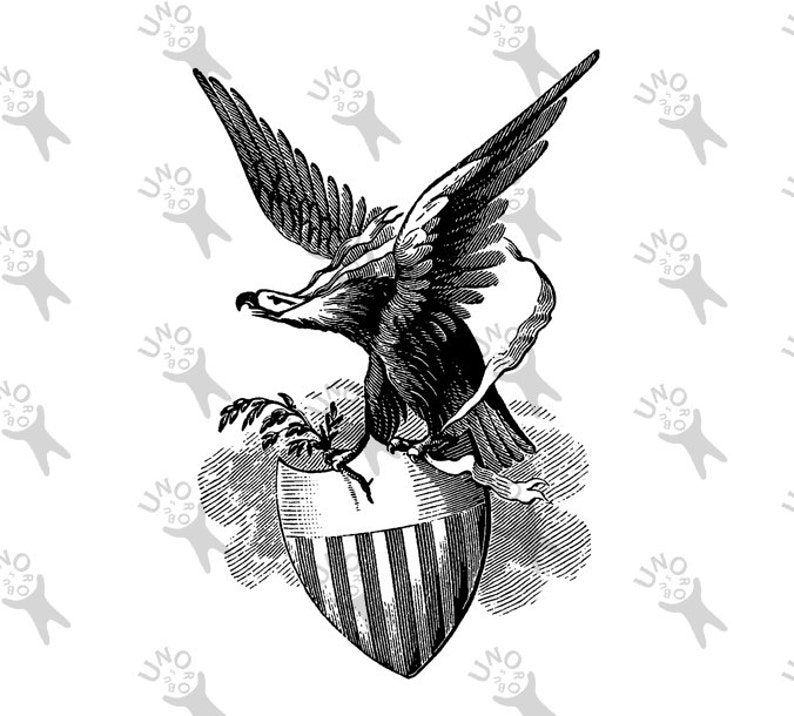 Vintage American Eagle Coat of arms USA Shield Patriotic image Etsy