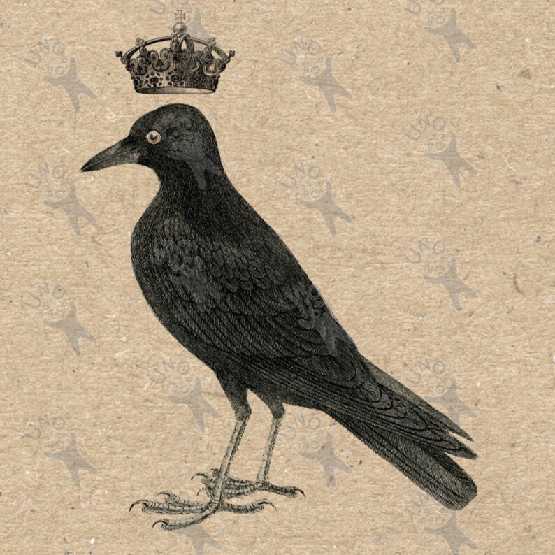 Antique Image Crow With Crown Vintage Picture Instant Download Etsy