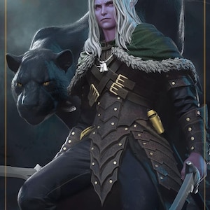 Figura de Elfo de las Sombras con Doble Cimitarra Ranger / Figura de Vagabundo con Pantera Bond / Miniestatua de exhibición / Archivos STL de impresión 3D