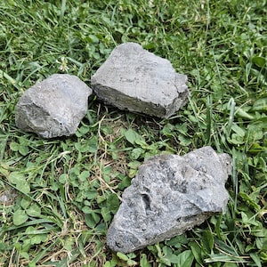 Op de afbeelding: Drie grijze rotsen van verschillende grootte liggen op een bed van groen gras en klaver. De rotsen hebben ruwe, getextureerde oppervlakken en onregelmatige vormen, die opgaan in de natuurlijke buitenomgeving.
