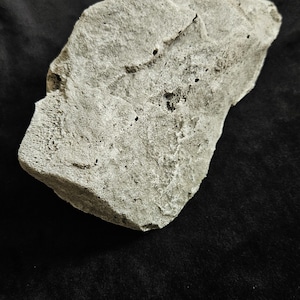 Könnte beinhalten: Ein hellgrauer, unregelmäßig geformter Stein mit einer rauen, strukturierten Oberfläche. Der Stein hat kleine Löcher und Spalten und liegt vor einem schwarzen Hintergrund. Der Stein scheint ein Naturstein zu sein, möglicherweise ein Teil einer größeren Formation.