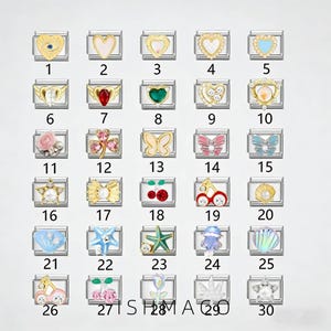 Puede incluir: Una colección de 30 dijes decorativos con varios diseños, incluyendo corazones, mariposas, flores y criaturas marinas. Cada dije es rectangular con una base plateada y detalles de esmalte colorido. Los dijes están numerados del 1 al 30.