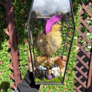 May include: A taxidermy duckling wearing a purple felt hat and riding a miniature broomstick inside a glass coffin-shaped display case. The base features green moss, a small black cauldron, a purple potion bottle, and a skull.