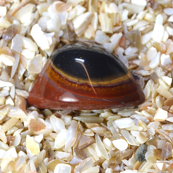 Agate Shiva eye stone AG067