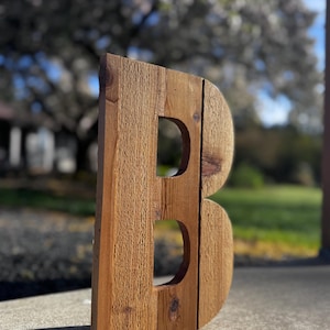 May include: A large, wooden letter "B" with a rustic, natural finish. The letter is constructed from planks of wood, with two rounded cutouts. The wood grain and knots are visible, giving it a handcrafted appearance. The background is blurred, with a tree in bloom.