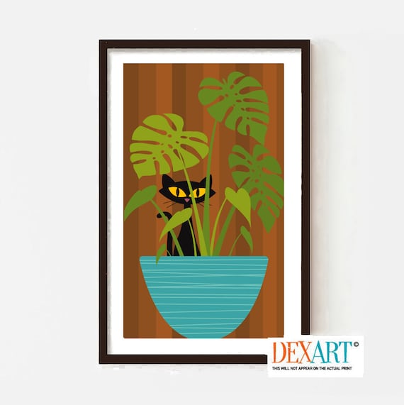 philodendron brasil cream splash Philodendron Cream Splash  Studio Plantes