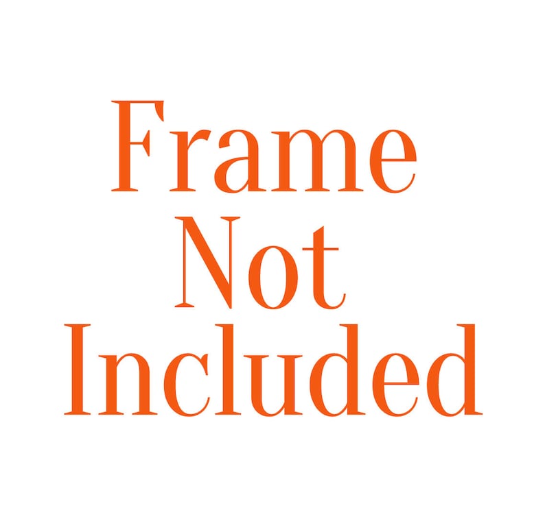 May include: Orange text on a white background reads "Frame Not Included".