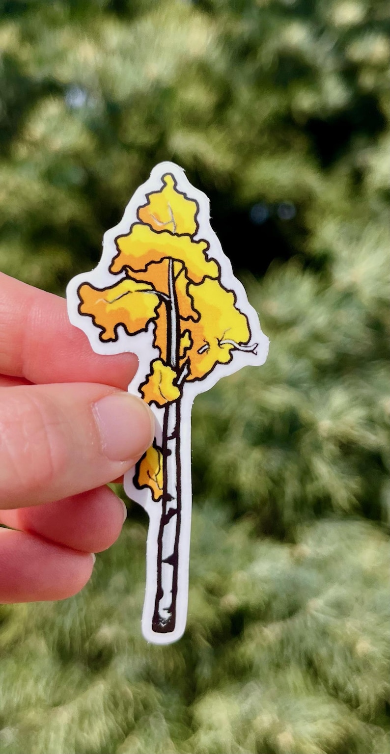 Aspen Tree Small Transparent Vinyl Sticker - Waterproof Nature Stickers ...