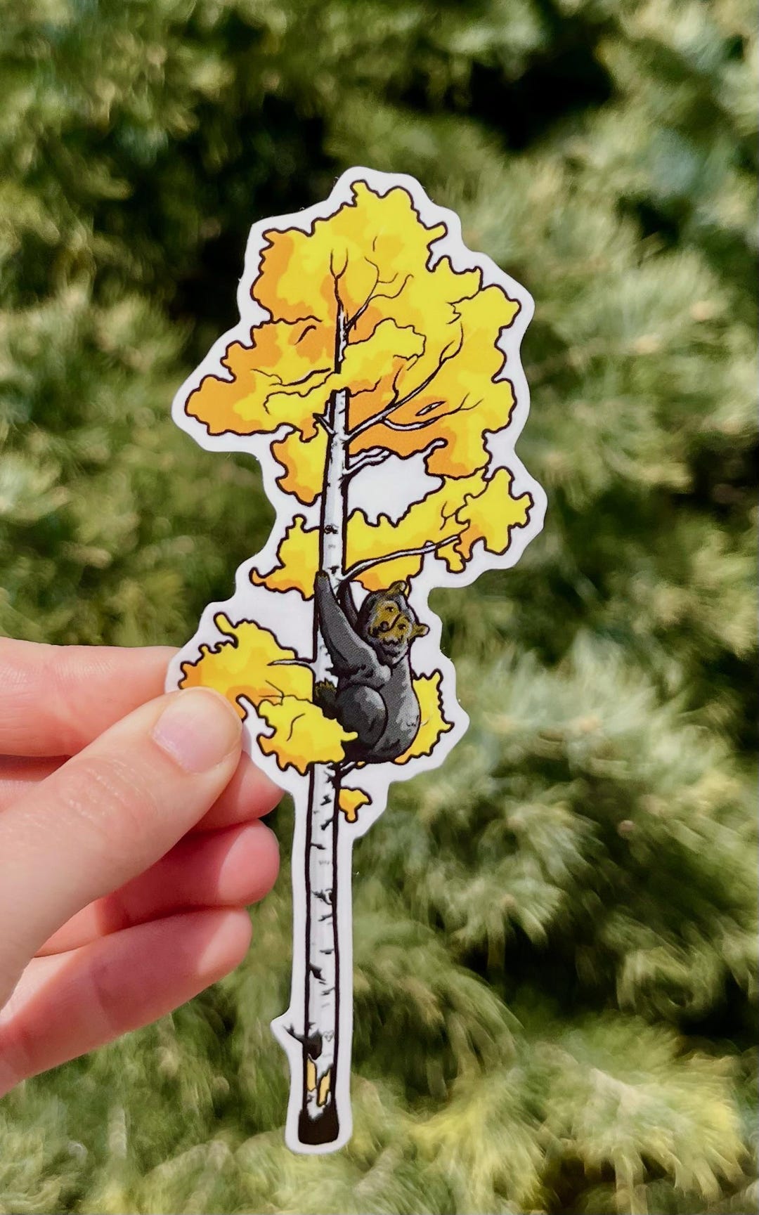Aspen Tree Black Bear Transparent Vinyl Sticker - Waterproof Nature ...